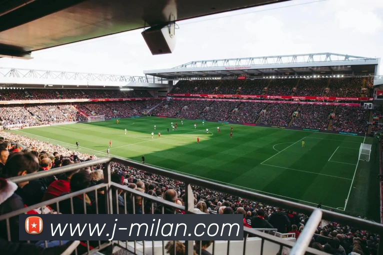 米兰体育平台生态图